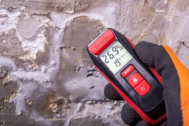Best Mold Testing  in Wray, CO
