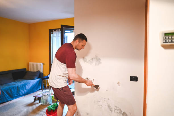 Best Home Mold Removal  in Wray, CO
